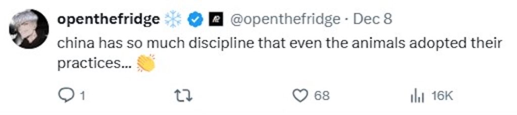 A beluga whale soaks a man smoking in a no smoking zone in a viral staged clip filmed for a fire safety campaign as clever beluga Pomegranate delights viewers with perfect timing.