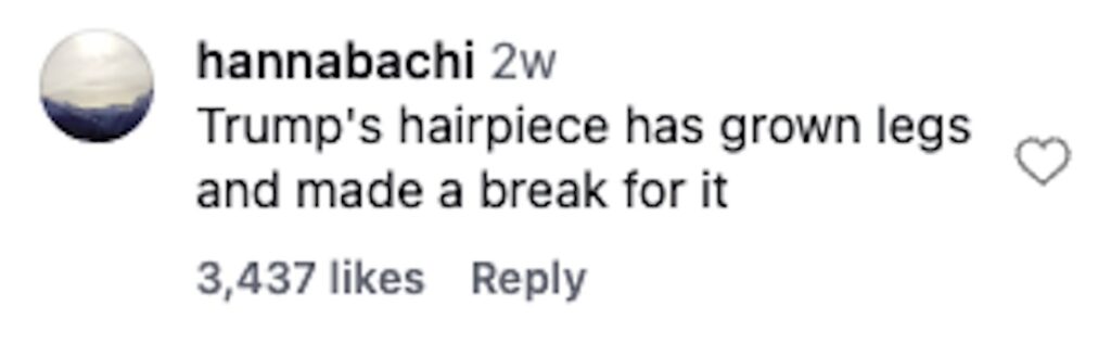 Social media comment on the post of Fluffy Amazon caterpillar dubbed Trumpapillar goes viral after viewers compare its fuzzy orange look to Donald Trump’s hair sparking jokes and wildlife curiosity online web.