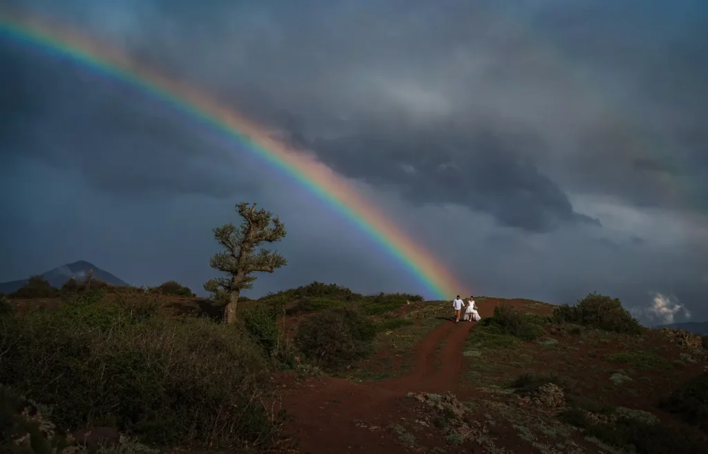 UK photographer David Scholes wins 2025 International Wedding Photographer of the Year with a perfectly timed hilarious kid and cake shot beating 2500 global entries in style.
