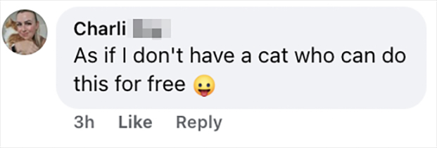 The £495 cracked Christmas bauble designed to look like a cat smashed it off the tree has stunned shoppers yet is nearly sold out as a luxury festive decoration online now.