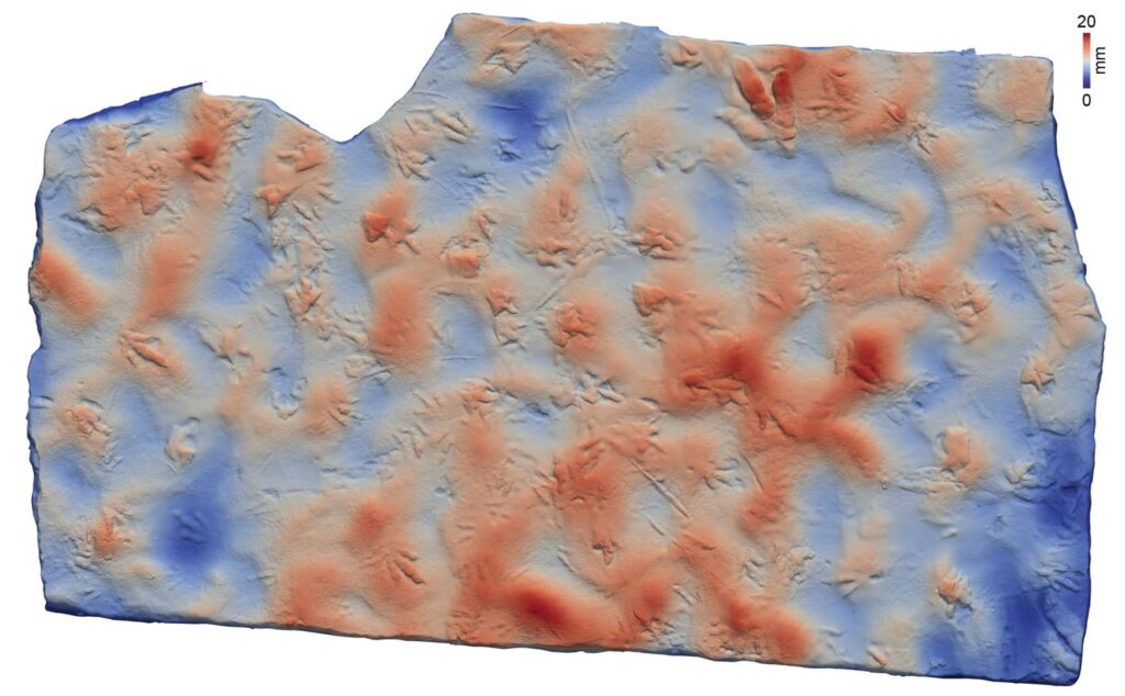 Two brothers discover their garden paving stones are covered in 400 dinosaur footprints dating back 190 million years after scientists confirm the slabs show tracks from ancient bipedal species.