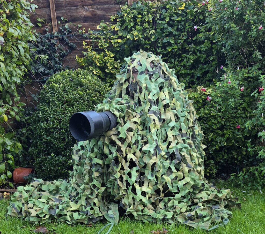 Wildlife enthusiast Charlie Blake captures stunning photos as a red kite swoops into his Portsmouth garden after weeks of preparation and a four hour camouflage vigil.