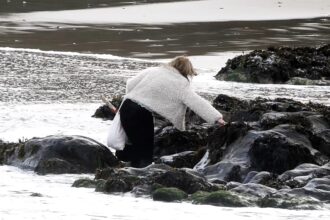 Christmas shopper soaked by rising tide in Newquay after shortcut across seaweed covered rocks goes wrong leaving her wet but safe as amused locals react to the festive mishap.