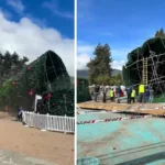 Outrage after a £36900 Christmas tree collapses in strong winds just days after installation as council faces questions over safety spending and negligence.