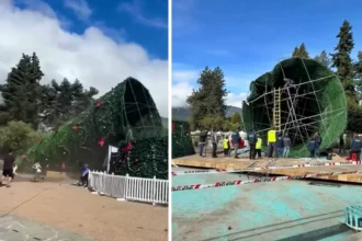 Outrage after a £36900 Christmas tree collapses in strong winds just days after installation as council faces questions over safety spending and negligence.