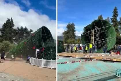 Outrage after a £36900 Christmas tree collapses in strong winds just days after installation as council faces questions over safety spending and negligence.