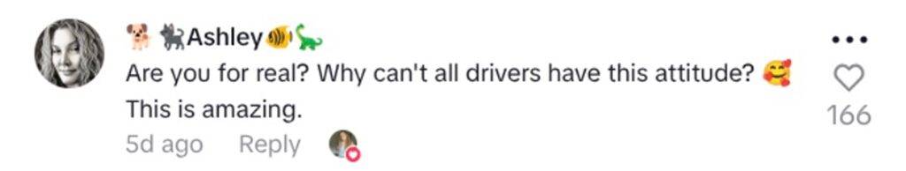 Social media comment on the post of Delivery driver dubbed Christmas angel after disguising kids presents on doorsteps to save festive magic going viral for kindness as parents praise thoughtful gesture.