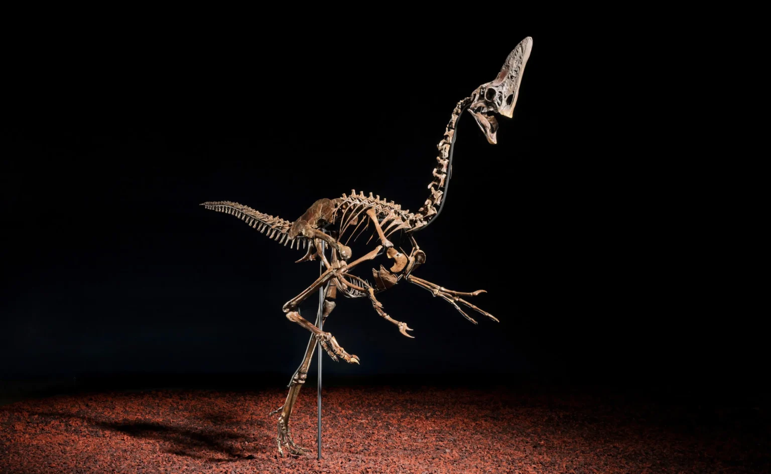 Dinosaur skeleton nicknamed Spike sells for £3.46m at Christie’s as rare 68 million year old oviraptorosaur fossil sparks huge interest among collectors.