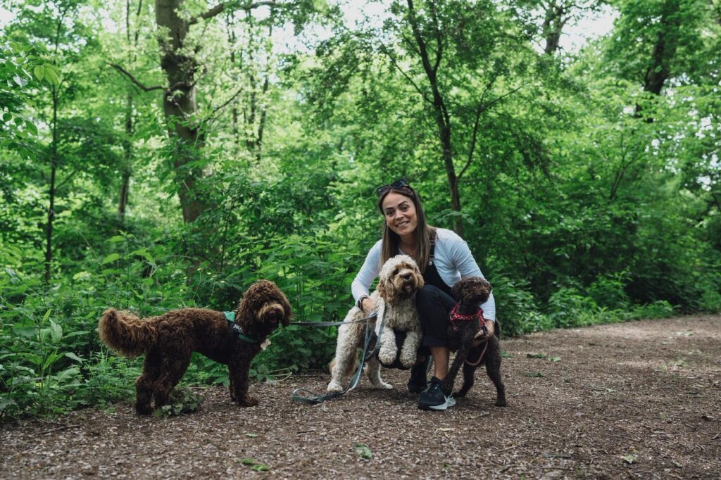 Doggy day care owner recreates Christmas nativity with adorable dogs as Baby Jesus Mary and Wise Men delighting fans with wholesome festive photoshoot that spreads joy online.