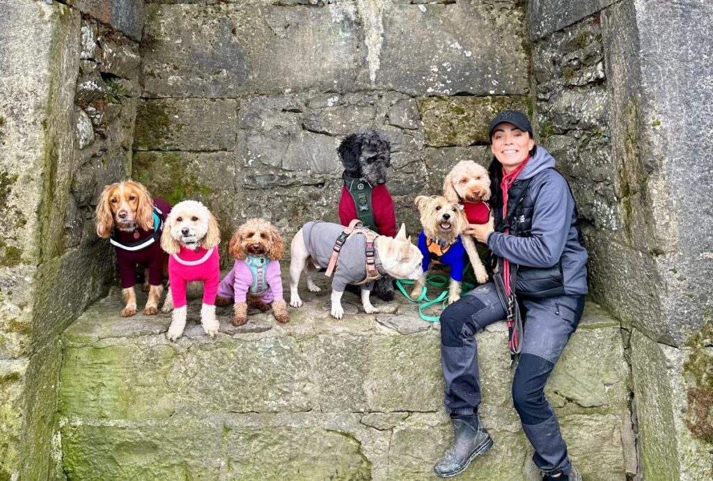 Doggy day care owner recreates Christmas nativity with adorable dogs as Baby Jesus Mary and Wise Men delighting fans with wholesome festive photoshoot that spreads joy online.