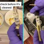 Microbiologist tests plates after washing finds bacteria lingering on hand washed dishes while dishwasher slashes germs shocking viewers ahead of Christmas cleaning rush.