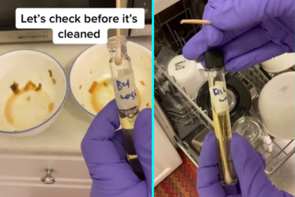 Microbiologist tests plates after washing finds bacteria lingering on hand washed dishes while dishwasher slashes germs shocking viewers ahead of Christmas cleaning rush.