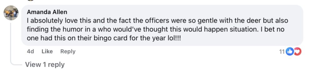Social media comment on the post of A deer smashed into a Tennessee Christmas shop racing past decorations before getting stuck under a chair as amused police gently dragged the festive intruder outside sparking laughs online.