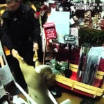 A deer smashed into a Tennessee Christmas shop racing past decorations before getting stuck under a chair as amused police gently dragged the festive intruder outside sparking laughs online.