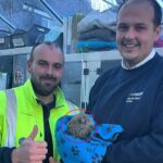 Lucky hedgehog rescued from deep storm drain in Devon after workers improvise daring save Aquarius recovers at rescue centre with weight doubled and release planned after Christmas.