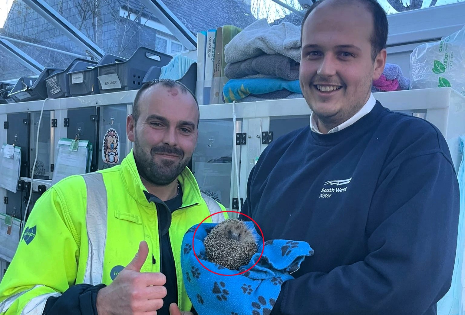 Lucky hedgehog rescued from deep storm drain in Devon after workers improvise daring save Aquarius recovers at rescue centre with weight doubled and release planned after Christmas.