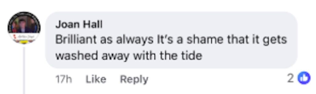 Social media comment on the post of Giant sand cow appears on Bridlington beach before Christmas stunning walkers as activist artist creates lifelike artwork highlighting animal consent debate before tide erases it.