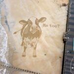 Giant sand cow appears on Bridlington beach before Christmas stunning walkers as activist artist creates lifelike artwork highlighting animal consent debate before tide erases it.