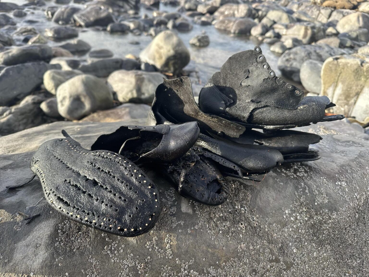 Hundreds of handmade leather shoes from a 150 year old shipwreck wash up on Welsh beach, baffling volunteers as rare footwear emerges from rock pools after erosion.