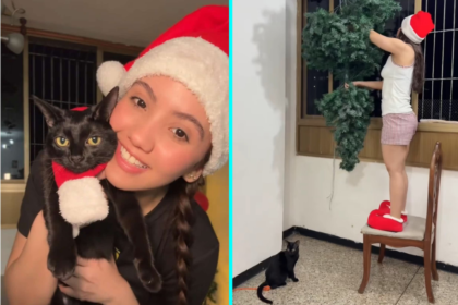 Influencer hangs Christmas tree from the ceiling to stop her mischievous Grinch cat, as viral TikTok clips of the kitten wreaking festive chaos rack up millions.