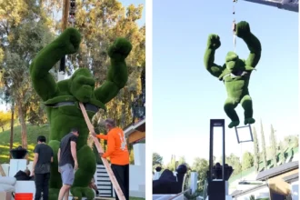 Jason Derulo shocks fans by installing a £165000 grass gorilla at his LA home as the giant 15 foot artwork goes viral drawing mixed reactions over the singer’s bold and extravagant purchase.