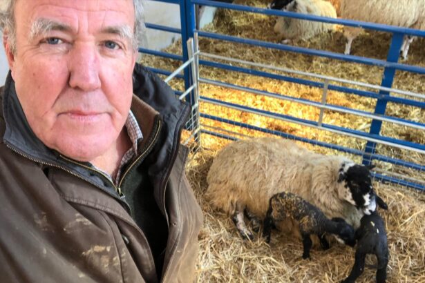 Jeremy Clarkson’s Diddly Squat Farm Shop halts US shipping before Christmas leaving American fans without gifts as delays continue with updates promised in the new year.