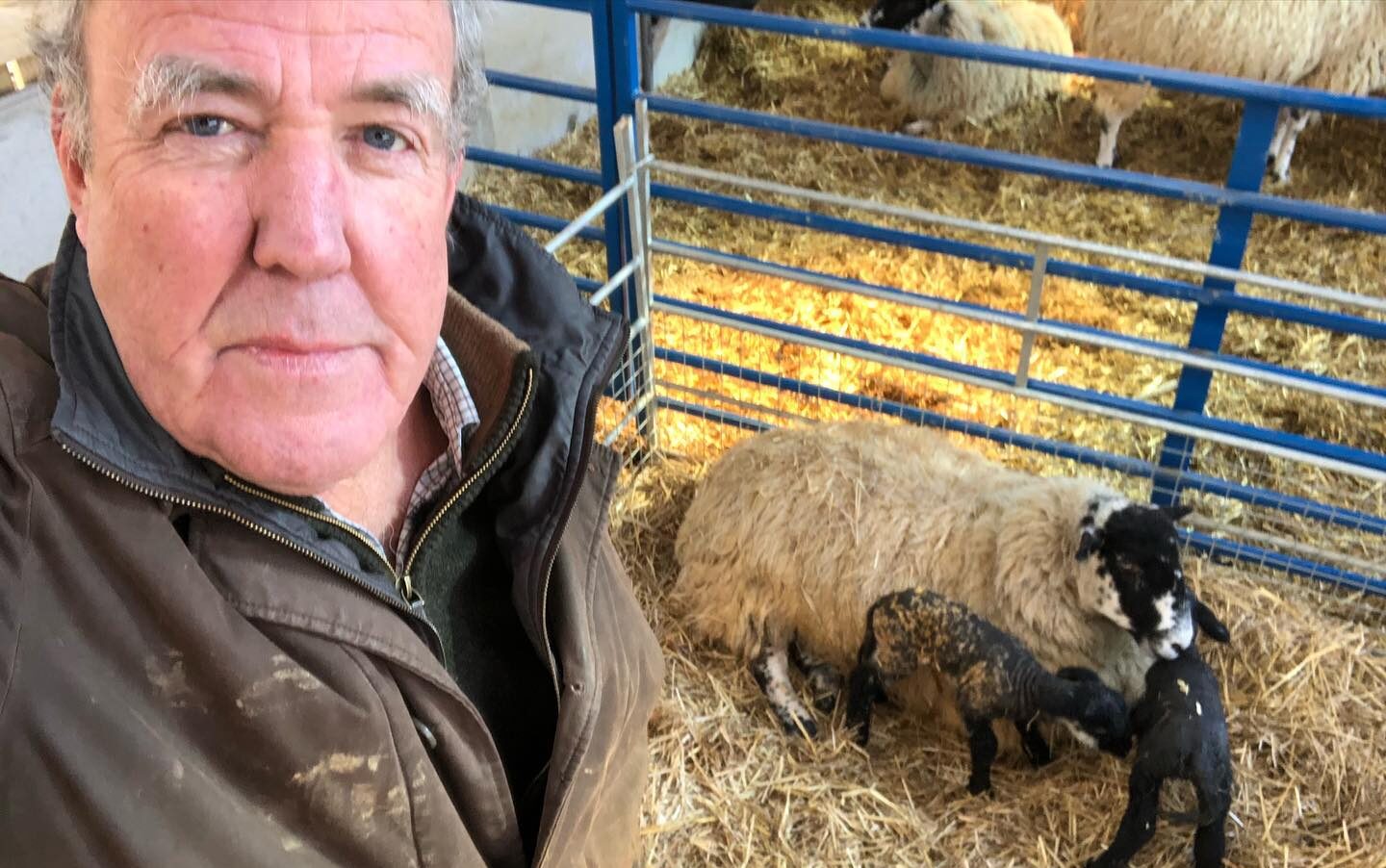 Jeremy Clarkson’s Diddly Squat Farm Shop halts US shipping before Christmas leaving American fans without gifts as delays continue with updates promised in the new year.
