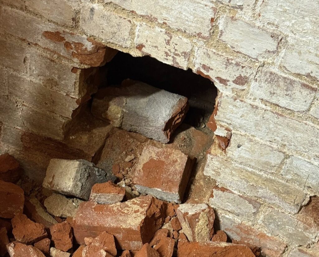 Dog trapped between walls at Southsea Model Village sparks dramatic rescue as fire crews cut through bricks to save Jack Russell Benny and reunite him safely with owner.