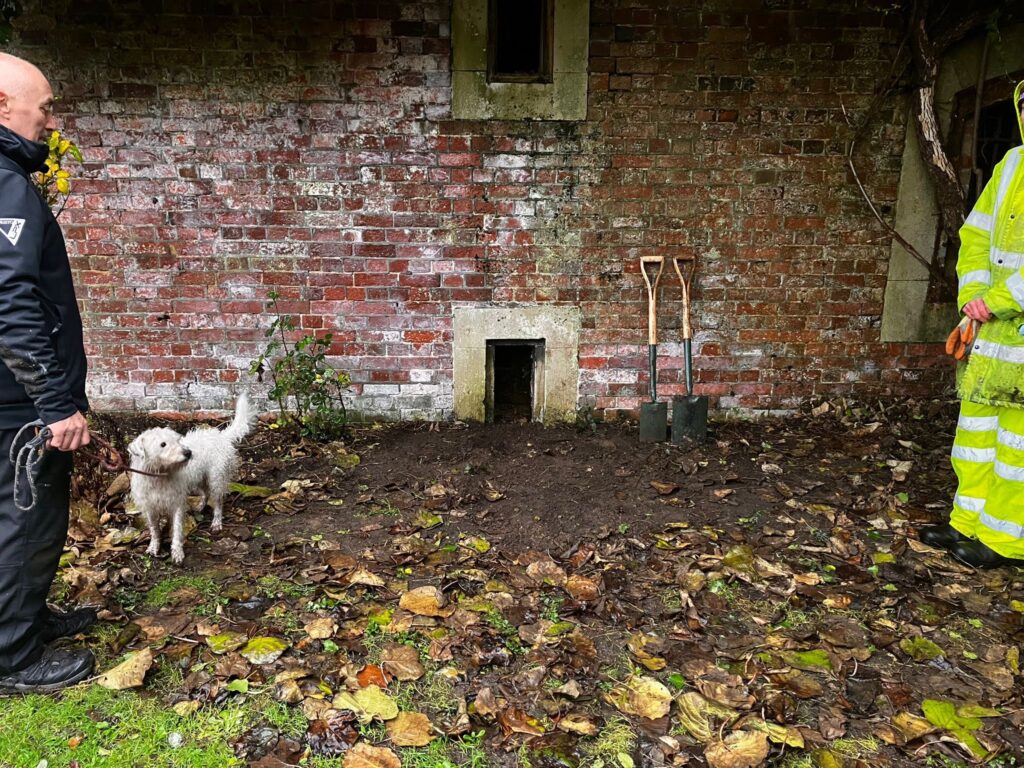 Dog trapped between walls at Southsea Model Village sparks dramatic rescue as fire crews cut through bricks to save Jack Russell Benny and reunite him safely with owner.