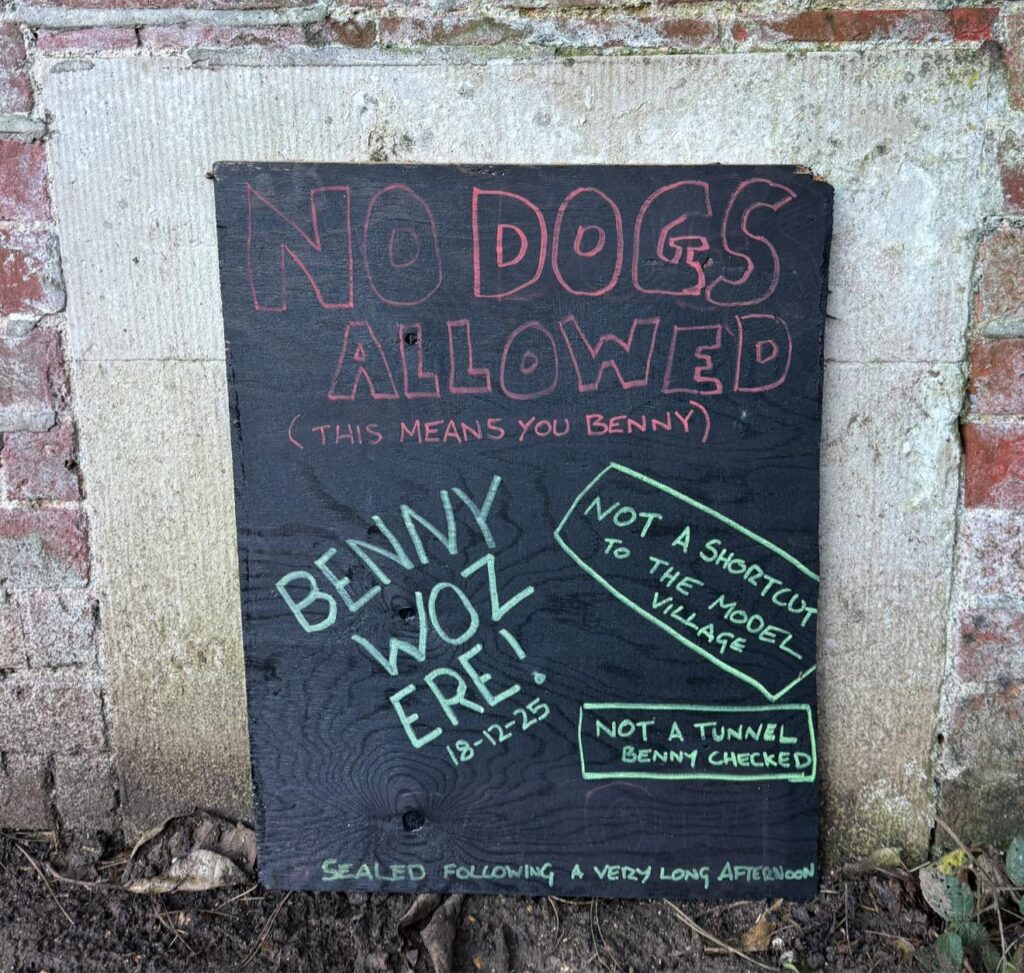 Dog trapped between walls at Southsea Model Village sparks dramatic rescue as fire crews cut through bricks to save Jack Russell Benny and reunite him safely with owner.