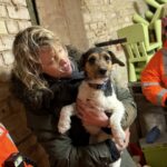 Dog trapped between walls at Southsea Model Village sparks dramatic rescue as fire crews cut through bricks to save Jack Russell Benny and reunite him safely with owner.