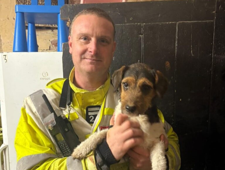 Dog trapped between walls at Southsea Model Village sparks dramatic rescue as fire crews cut through bricks to save Jack Russell Benny and reunite him safely with owner.