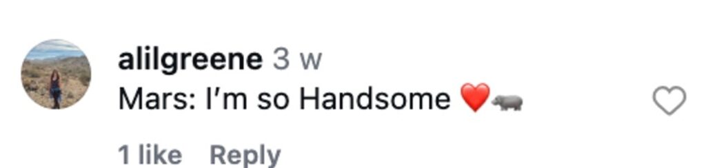 A viral pygmy hippo named Mars melts hearts after meeting his reflection for the first time appearing stunned delighted and very aware he is the cutest star at the park.