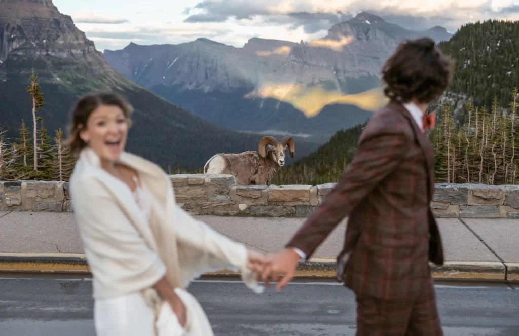 Stunning newlywed photos from London Scotland and beyond named Best of the Best as global wedding photography contest crowns 50 emotional and artistic winners worldwide.