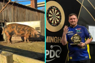 Psychic pig Mystic Truffle predicts Luke Littler will win another darts world championship, sniffing out his photo and tipping Michael van Gerwen as runner up favourites.