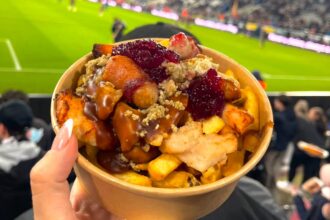 Newcastle serves festive loaded fries at St James Park for £9.80-chicken pigs in blankets stuffing cranberry and gravy delight fans as a quirky Christmas halftime treat.