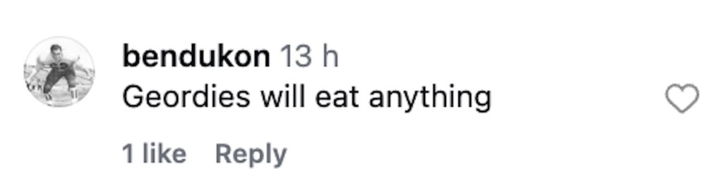 Newcastle serves festive loaded fries at St James Park for £9.80-chicken pigs in blankets stuffing cranberry and gravy delight fans as a quirky Christmas halftime treat.