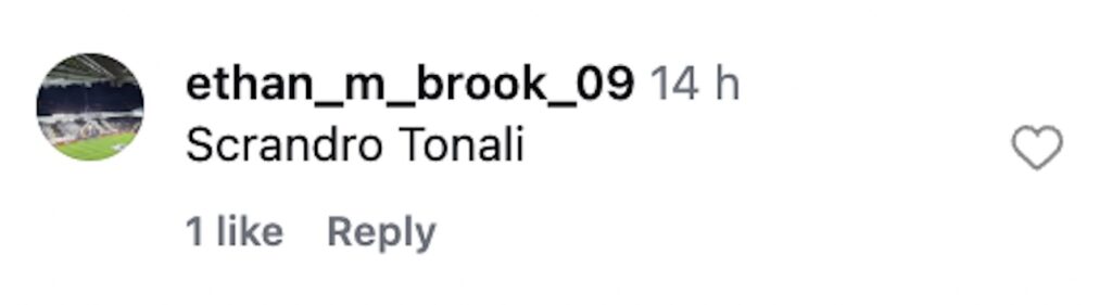 Newcastle serves festive loaded fries at St James Park for £9.80-chicken pigs in blankets stuffing cranberry and gravy delight fans as a quirky Christmas halftime treat.