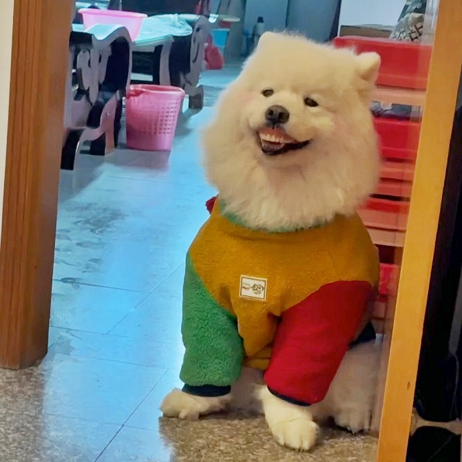 Man discovers around 20 bats hibernating in his smelly work boot in Warsaw sacrificing the shoe so experts could relocate the tiny colony to a safe winter home.