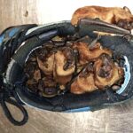 Man discovers around 20 bats hibernating in his smelly work boot in Warsaw sacrificing the shoe so experts could relocate the tiny colony to a safe winter home.