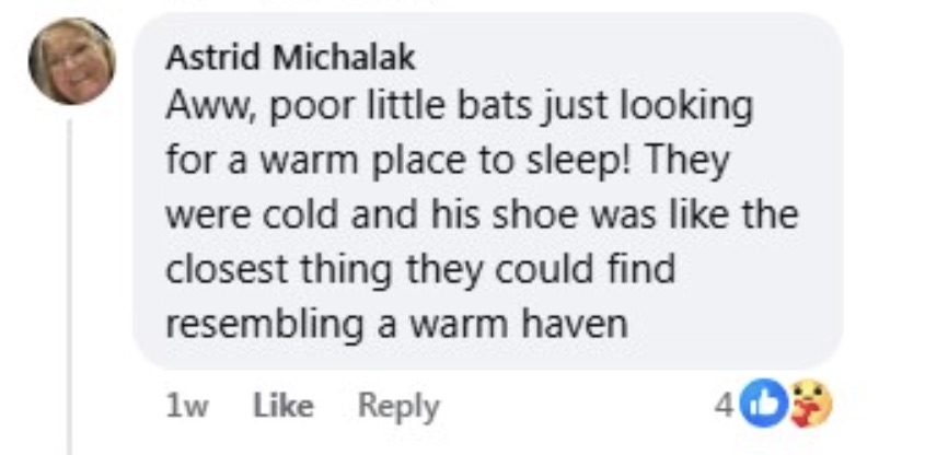 Social media comment on the post of Man discovers around 20 bats hibernating in his smelly work boot in Warsaw sacrificing the shoe so experts could relocate the tiny colony to a safe winter home.