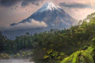 J Fritz Rumpf wins International Landscape Photographer of the Year for his stunning River and Dunes shot in Brazil as judges honour breathtaking global images across multiple categories.