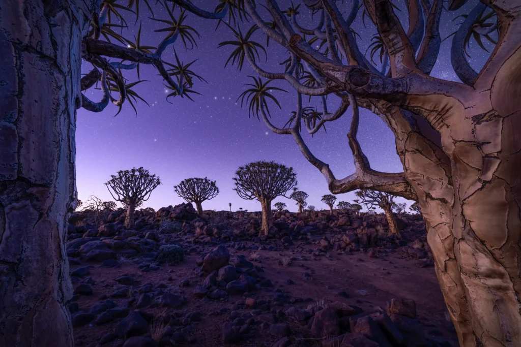 J Fritz Rumpf wins International Landscape Photographer of the Year for his stunning River and Dunes shot in Brazil as judges honour breathtaking global images across multiple categories.