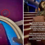 Theatre goer flees West End show after spotting mouse by her feet during Matilda performance sparking disgust refund demands and safety concerns in London venue.