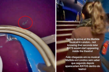 Theatre goer flees West End show after spotting mouse by her feet during Matilda performance sparking disgust refund demands and safety concerns in London venue.