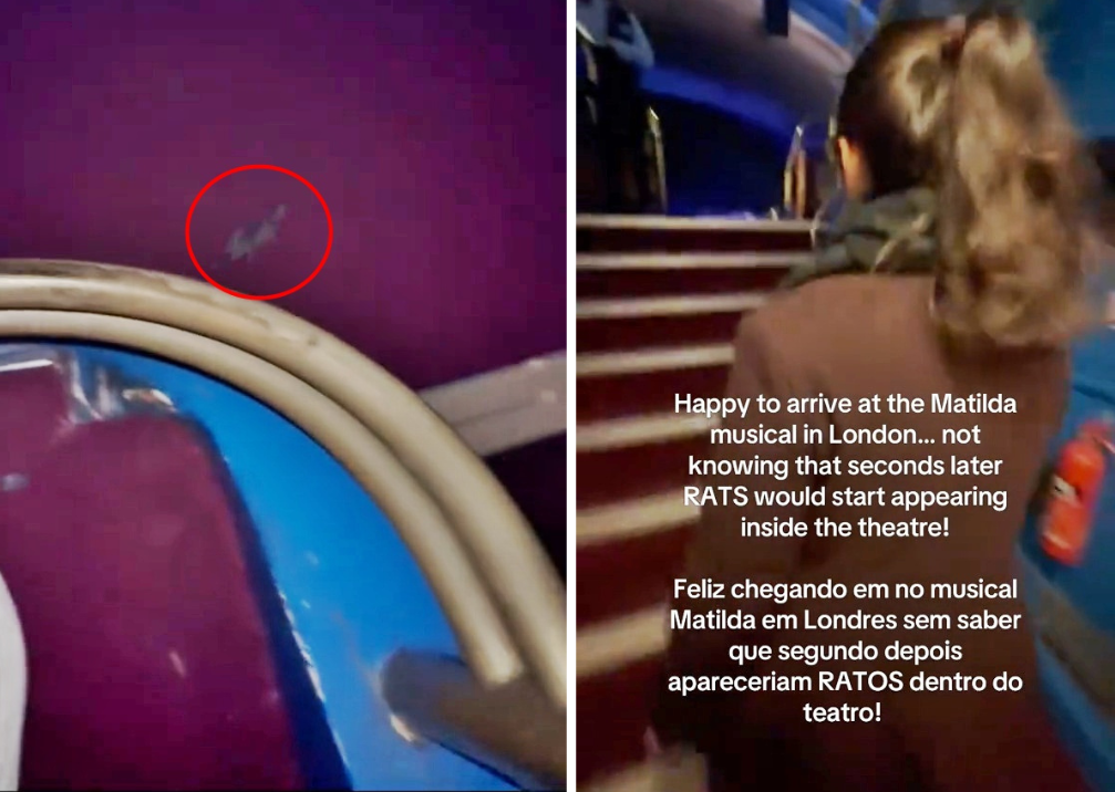 Theatre goer flees West End show after spotting mouse by her feet during Matilda performance sparking disgust refund demands and safety concerns in London venue.