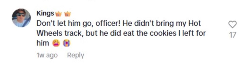 Social media comment on the post of Traffic cop pulls over Santa on busy motorway joking it was revenge for never getting a bike as a child festive prank goes viral delighting millions online.