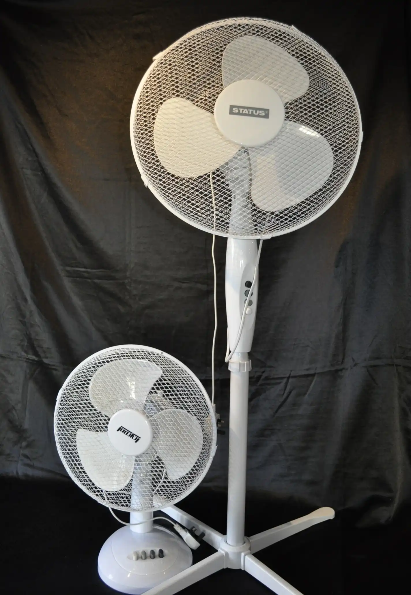 Beer can artwork titled Bitter n Twisted wins the spoof Turnip Prize celebrating the worst art with Ali Can taking home the turnip trophy at the long running Somerset contest.