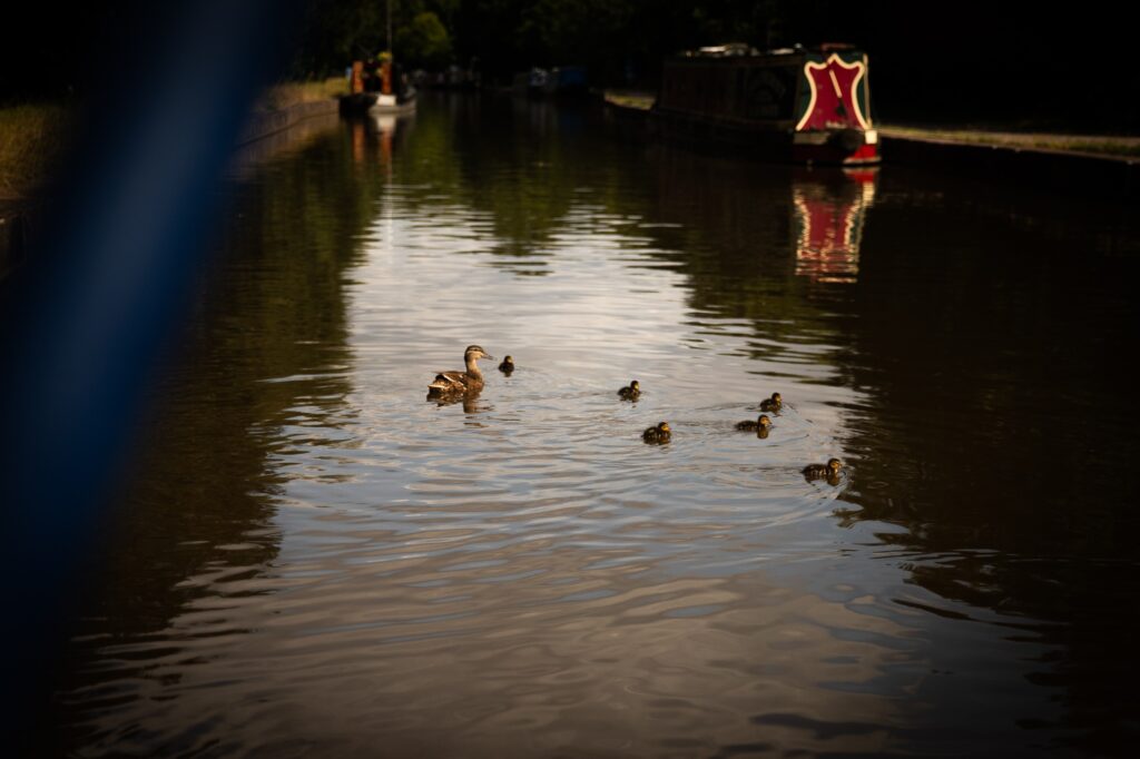 Couple living on a 57ft narrowboat reveal the joys and challenges of moving every two weeks saving money while embracing a cosy peaceful lifestyle that feels like a nonstop holiday even at Christmas.