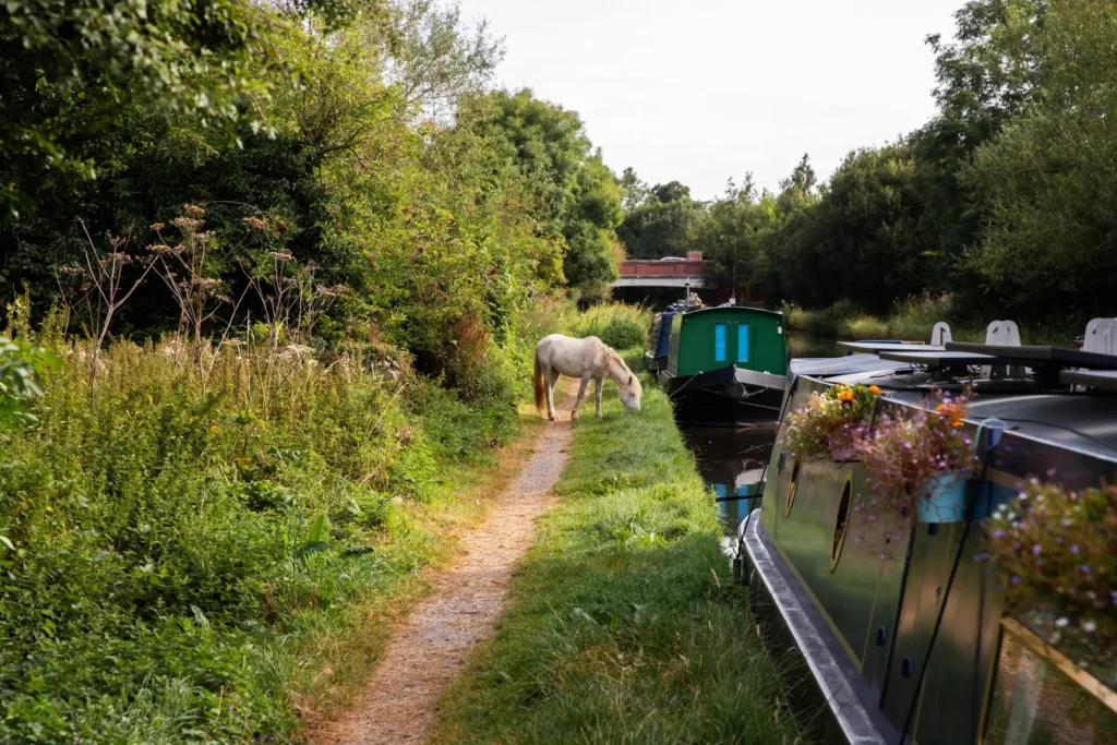 Couple living on a 57ft narrowboat reveal the joys and challenges of moving every two weeks saving money while embracing a cosy peaceful lifestyle that feels like a nonstop holiday even at Christmas.